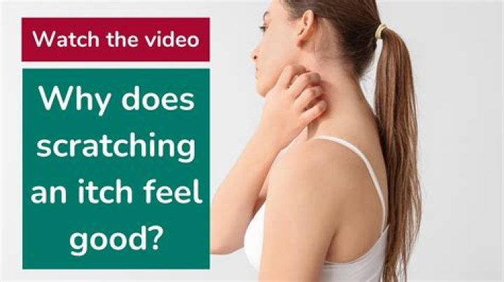 Is scratching good for hair?