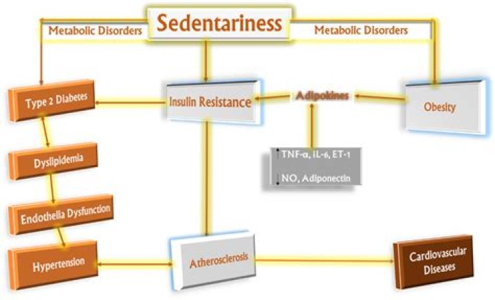 Is sedentariness a word?