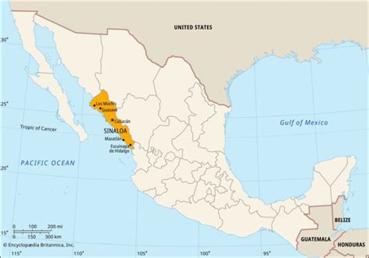 Is sinaloa a city or state?