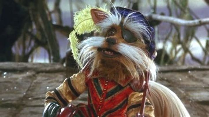 Is sir didymus a dog?