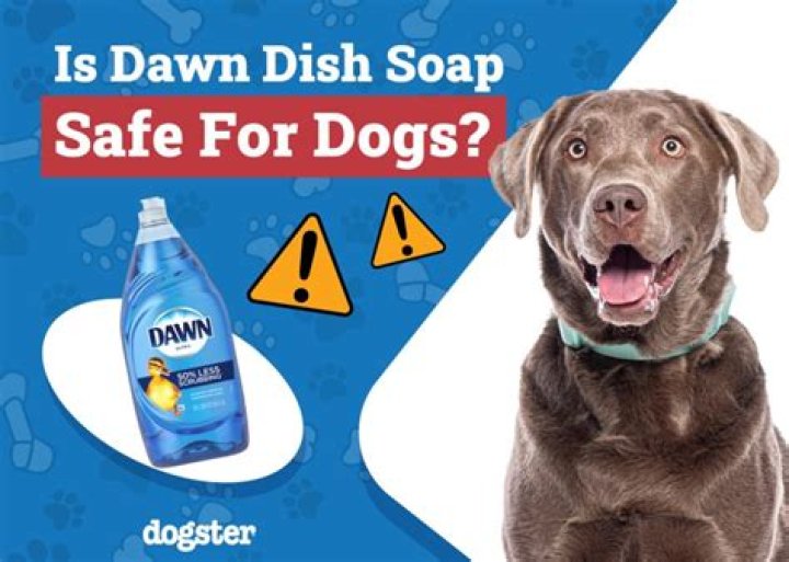 Is soap safe for dogs?