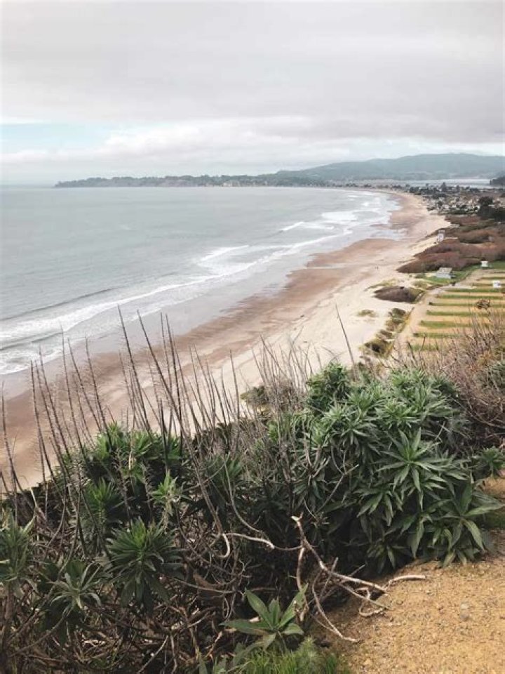 Is stinson beach open this weekend?