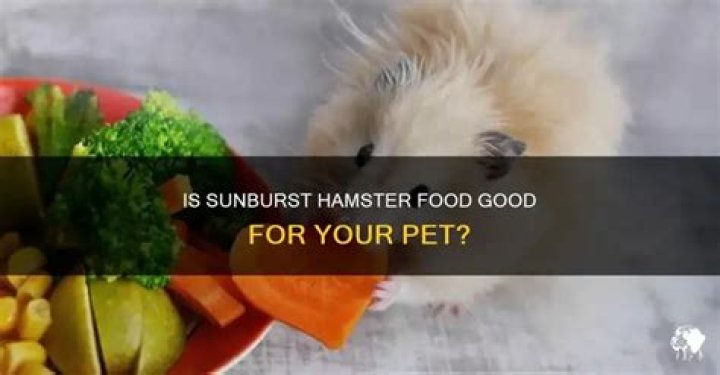 Is sunburst hamster food good?