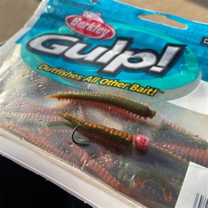 Is surf perch good to eat?