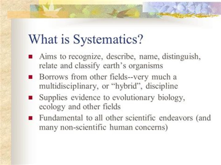 Is systematics a word?