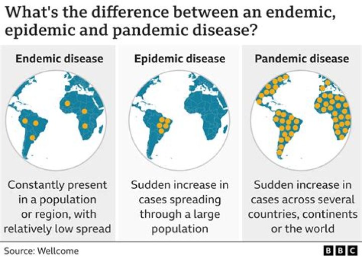 Is the coronavirus representing an epidemic or pandemic?