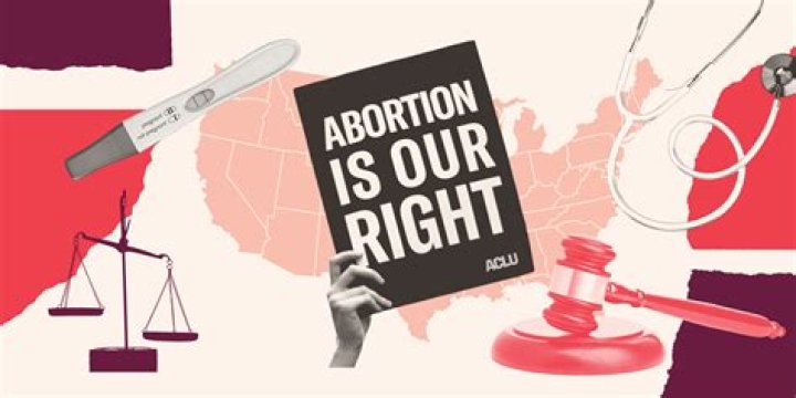 Is the definition of abort?