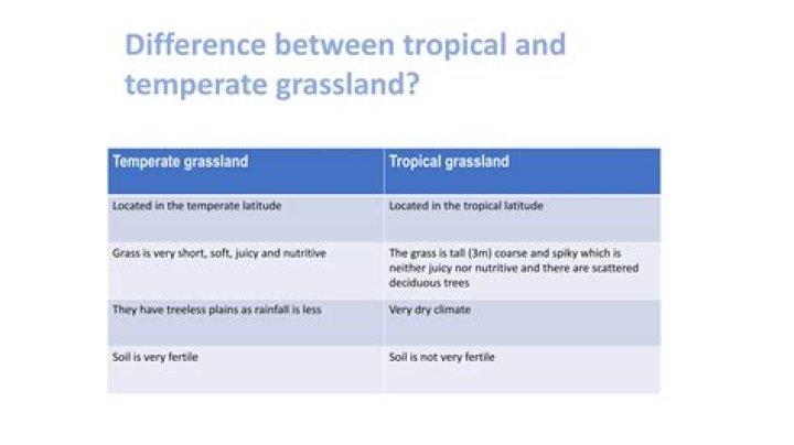 Is the difference between tropical and temperate grasslands?