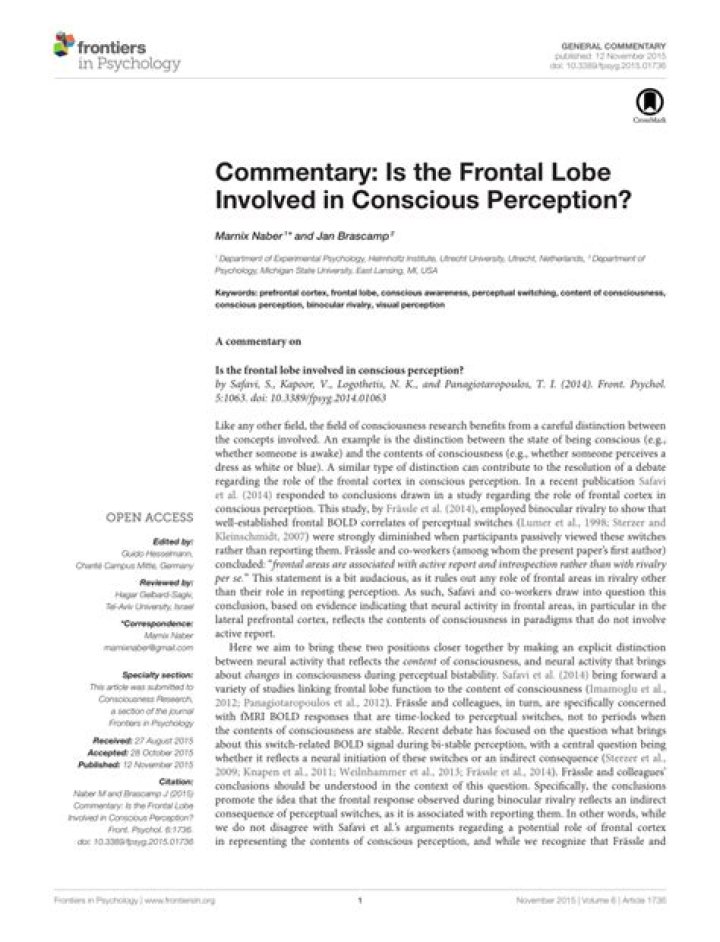 Is the frontal lobe involved in conscious perception?