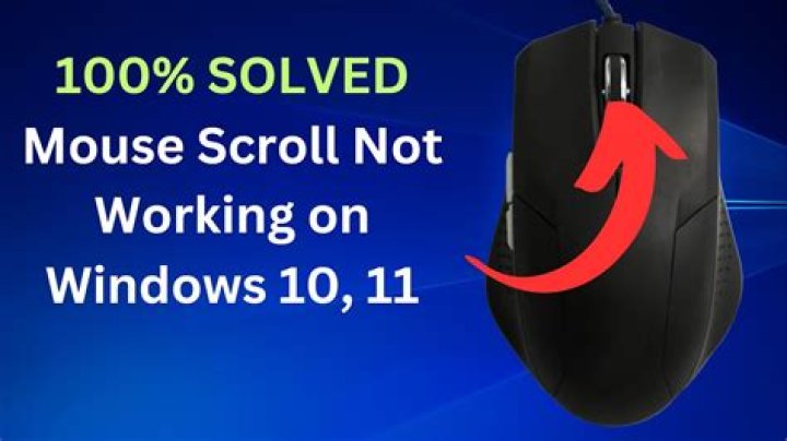 Is the scroll on my mouse not working?