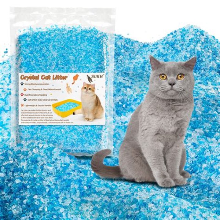 Is there a dust free cat litter?