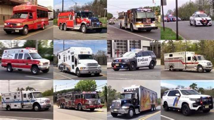 Is there dog ambulances?