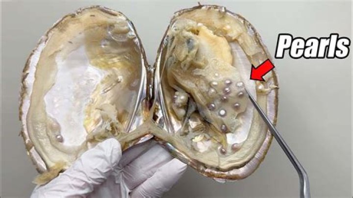 Is there pearls in clams?