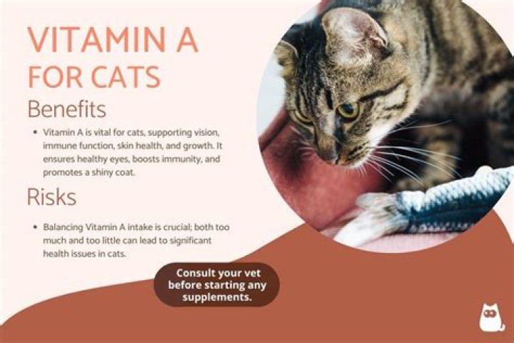 Is tyrosine deficiency in cats dangerous?