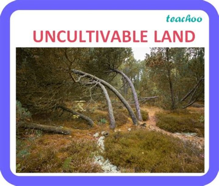 Is uncultivable a word?
