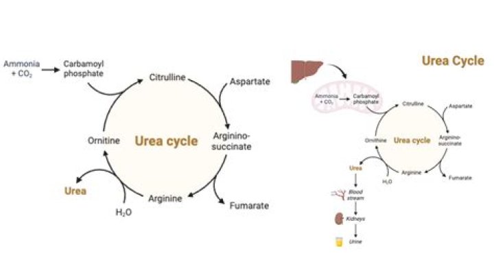 Is urea a keratolytic?