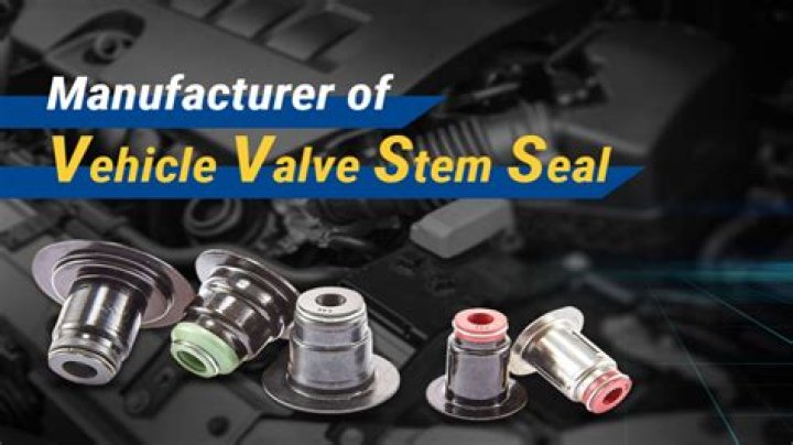 Is valve stem seals?
