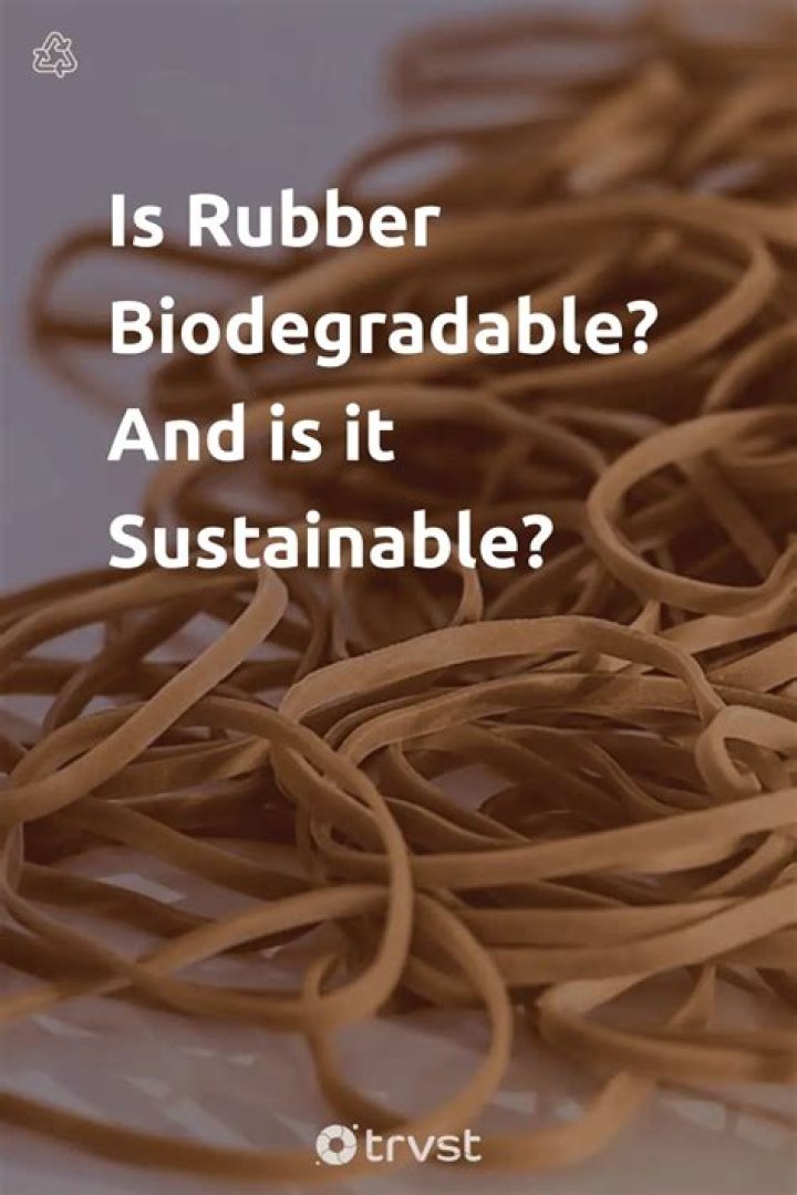 Is vulcanised rubber biodegradable?