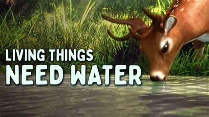 Is water a necessity?