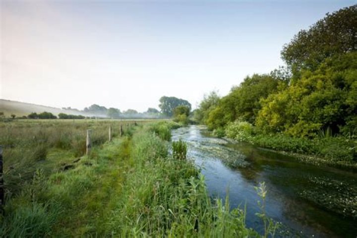 Is wylye in a conservation area?