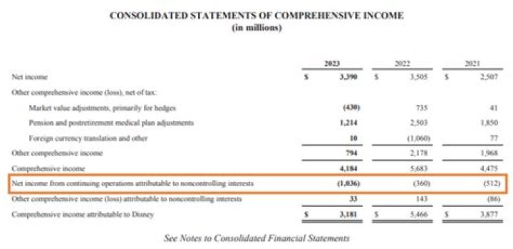 On consolidated financial statement?