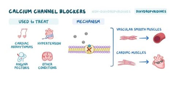 On-dihydropyridine calcium channel blocker?