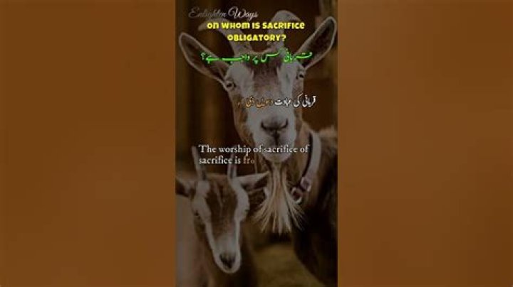 On whom is sacrifice obligatory?