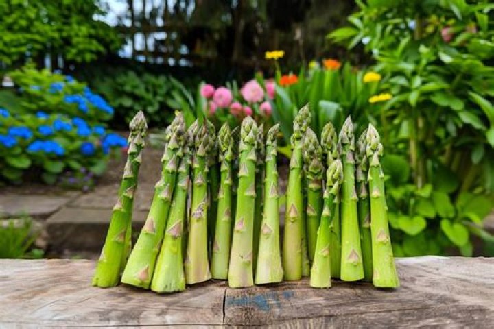 Should asparagus be mulched?