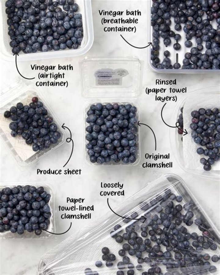 Should blueberries be refrigerated?