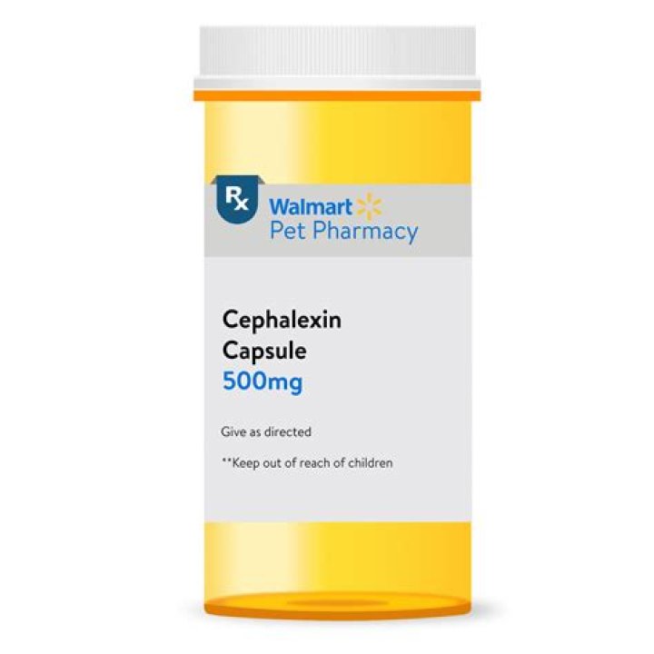 Should cephalexin 500 mg be taken with food?
