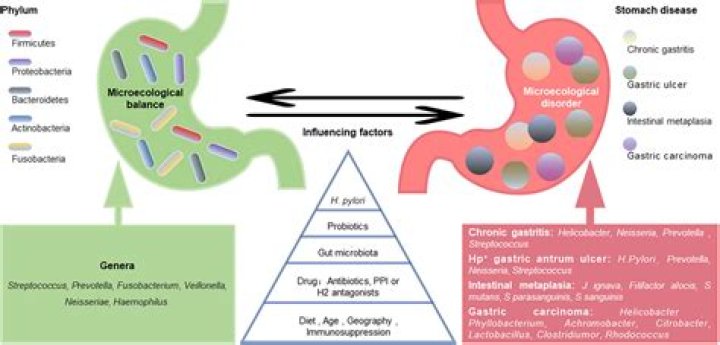 Should dilantin be taken on an empty stomach?