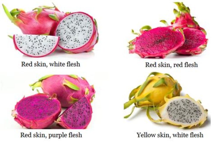 Should dragon fruit be white or purple?