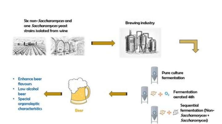 Should dry brewers yeast be refrigerated?