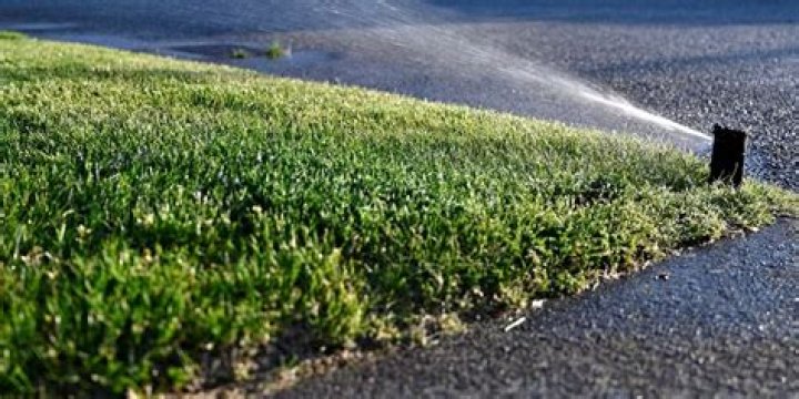 Should grass be cut short in hot weather?
