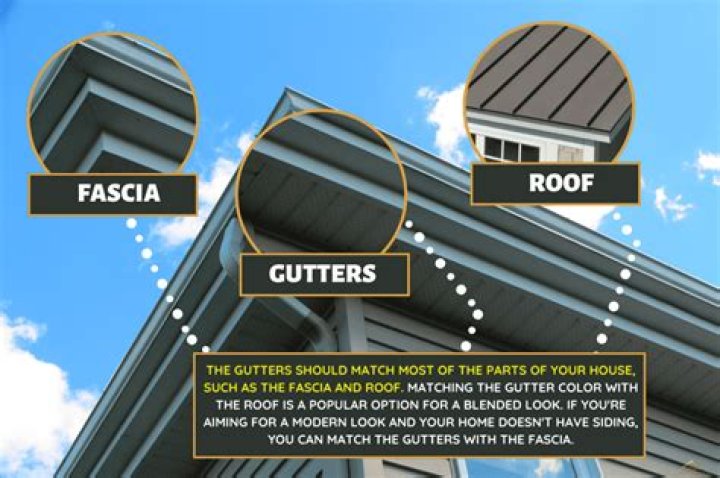 Should gutters match fascia or roof?