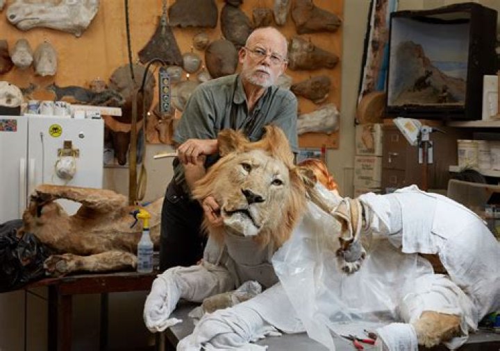 Should i be a taxidermist?