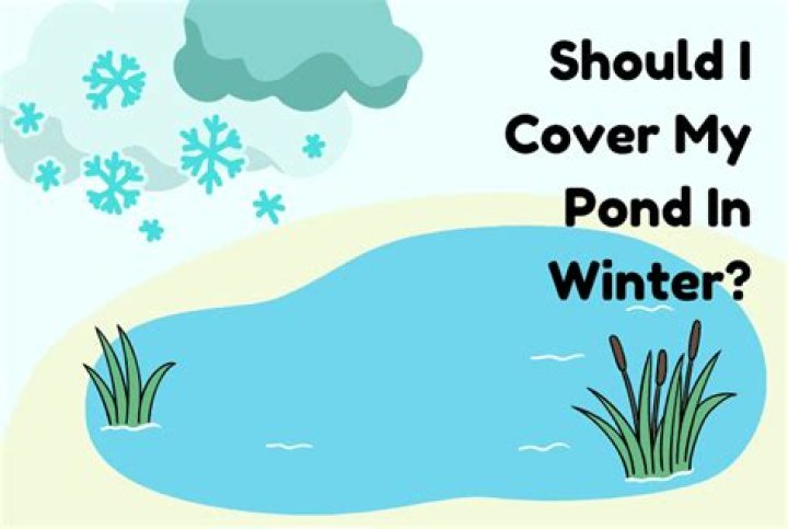 Should i cover my pond in winter?