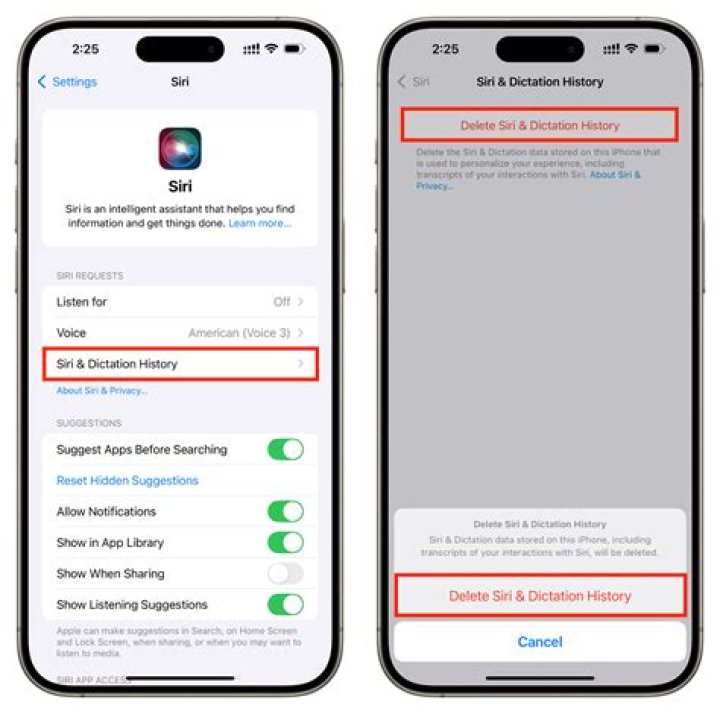 Should i delete siri and dictation history?