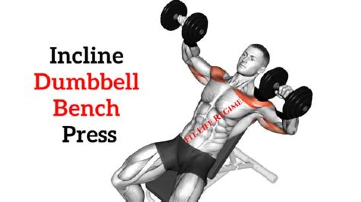 Should i do incline and decline bench press?