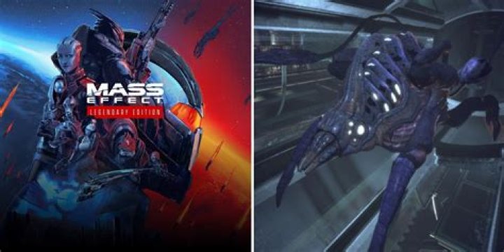 Should i free the rachni in mass effect 1?