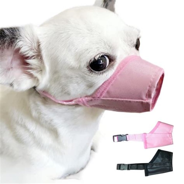 Should i muzzle my puppy for biting?