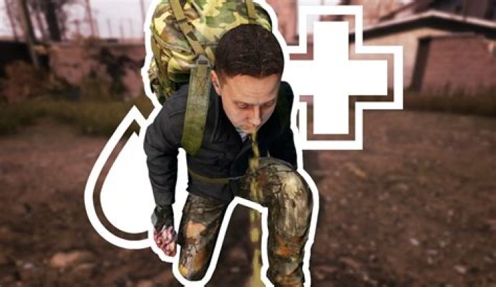 Should i play dayz?