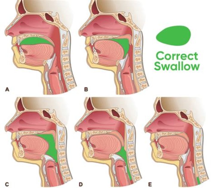 Should i swallow trident gum?
