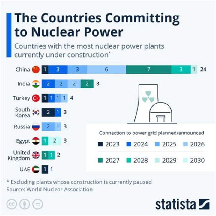 Should nz use nuclear power?