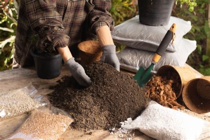 Should potting soil be changed?