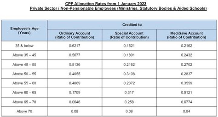 Should self-employed contribute to cpf?
