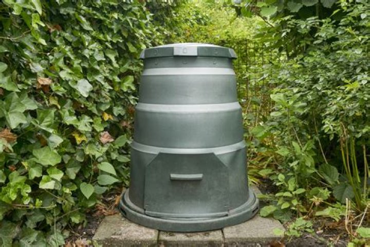 Should there be slugs in compost bin?