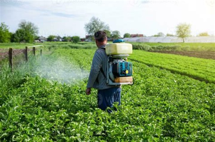 Should we spray herbicides?