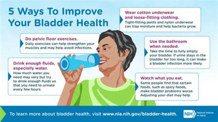 Should you hold your bladder?