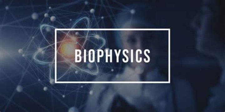 Should you major in biophysics?